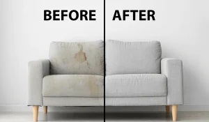 sofa-before-after-drycleaning-room-600nw-2158254237
